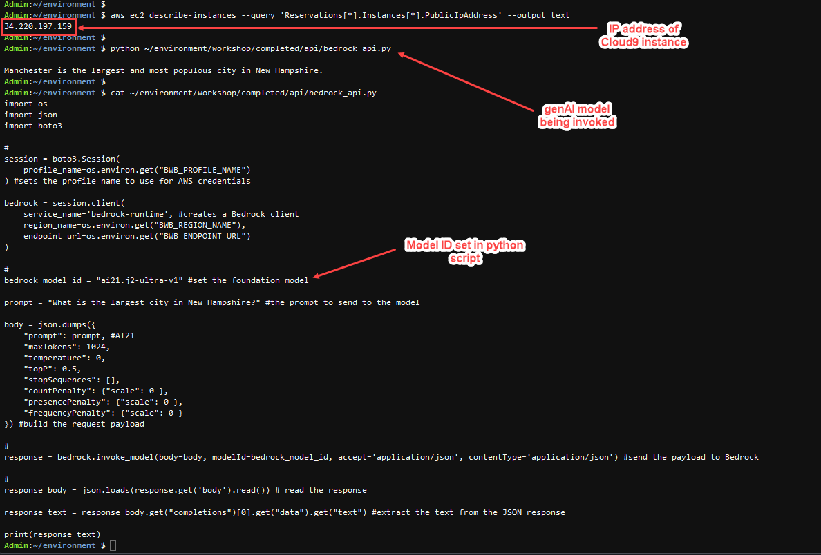 Model invocation example
